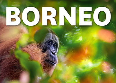 BORNEO