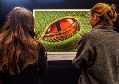 CEWE Fotoausstellung "Jäger des Lichts"