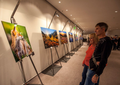 Martin Mägli: Ausstellung "Swiss Nature"