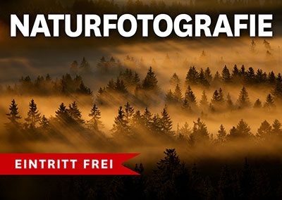 NATURFOTOGRAFIE