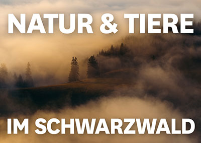 Natur und Tiere im Schwarzwald