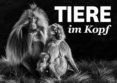 Tiere im Kopf