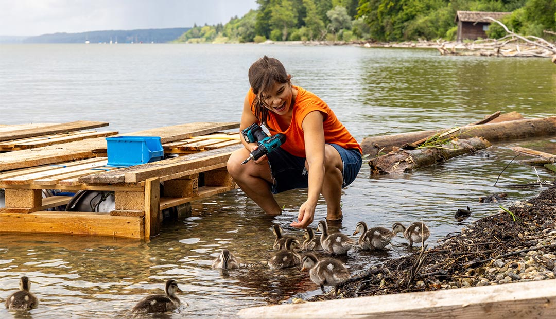 Willi Weitzel live 19