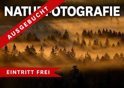 NATURFOTOGRAFIE